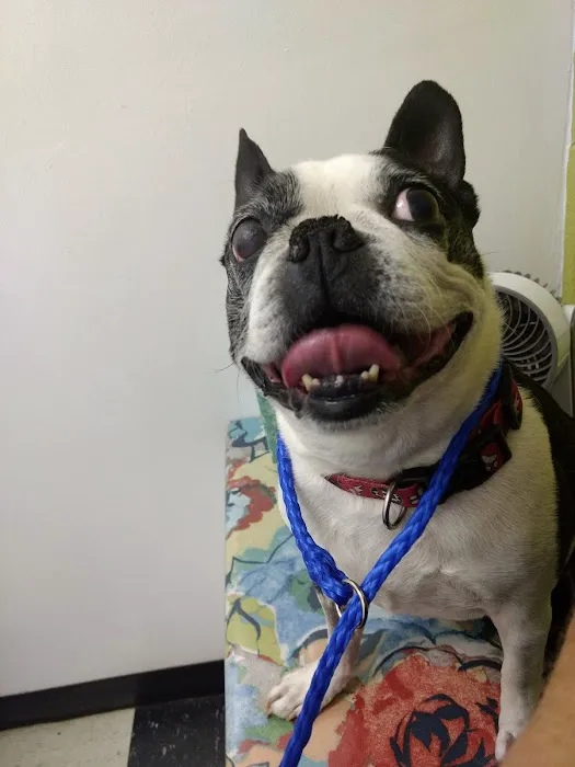 McLoud Animal Hospital Picture 1