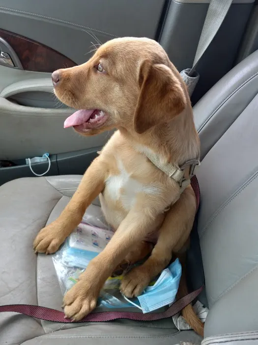 McLoud Animal Hospital Picture 5