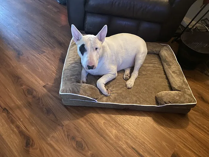 McLoud Animal Hospital Picture 7