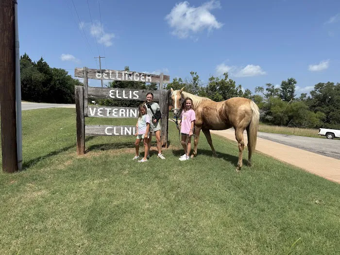 Ellis and Bellinger Veterinary Clinic Picture 4