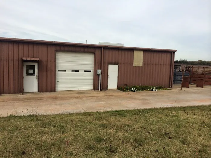 Ellis and Bellinger Veterinary Clinic Picture 6