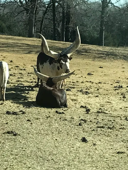 Ellis and Bellinger Veterinary Clinic Picture 10