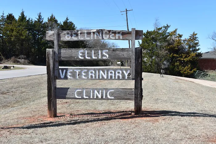 Ellis and Bellinger Veterinary Clinic Picture 8
