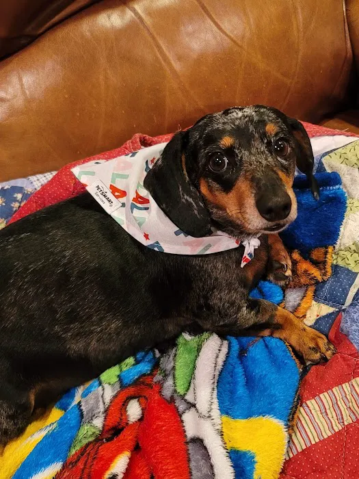 Harrah Veterinary Associates Picture 6