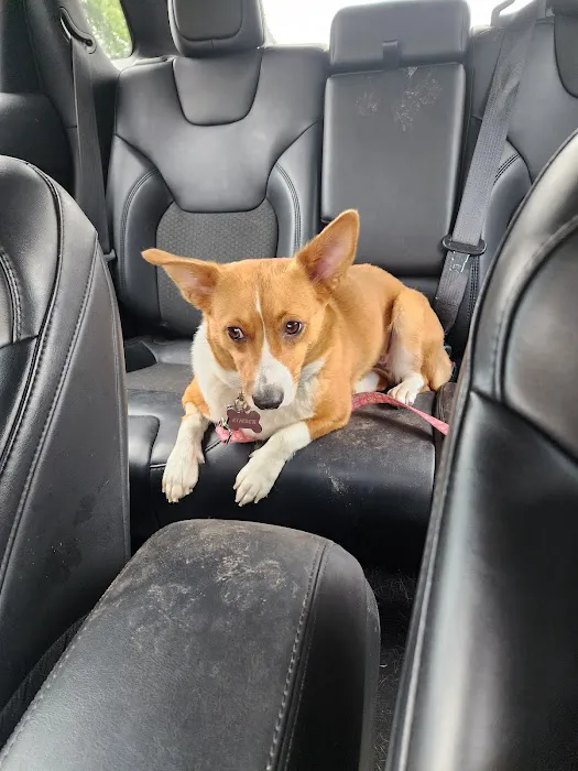 Harrah Veterinary Associates Picture 10