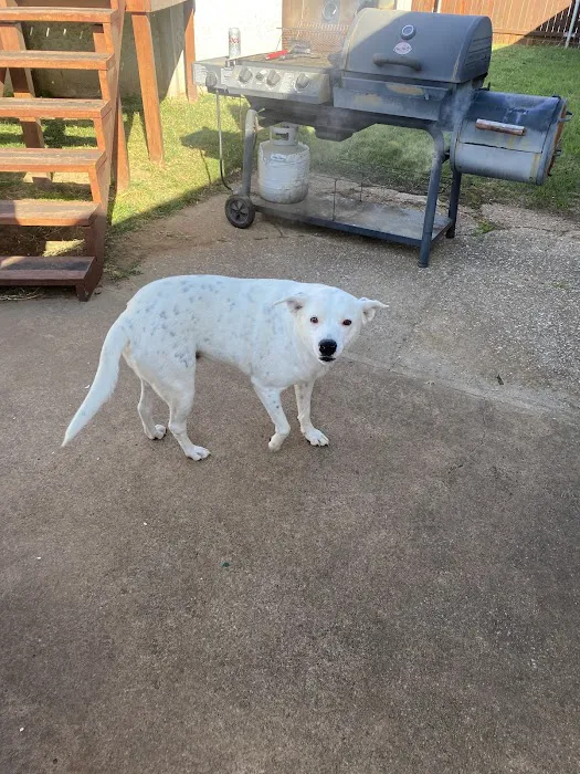 Deercreek Animal Hospital Picture 1