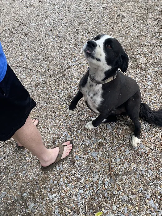 Deercreek Animal Hospital Picture 2