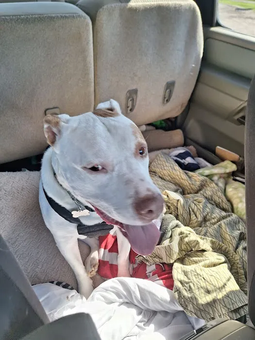 Deercreek Animal Hospital Picture 3