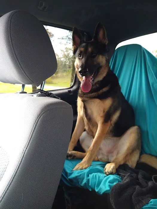 Deercreek Animal Hospital Picture 6