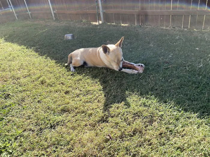 Deercreek Animal Hospital Picture 4