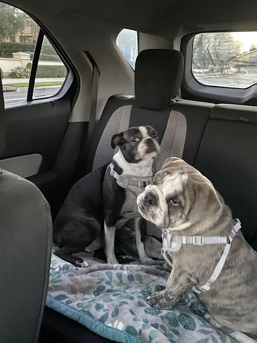 Deercreek Animal Hospital Picture 7