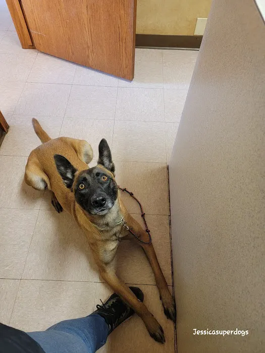 Deercreek Animal Hospital Picture 8