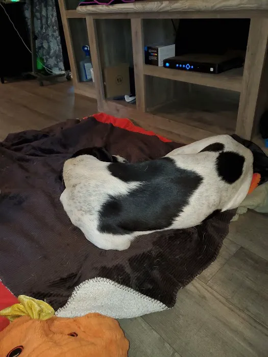 Tecumseh Veterinary Clinic Picture 1