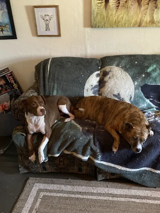 Tecumseh Veterinary Clinic Picture 3