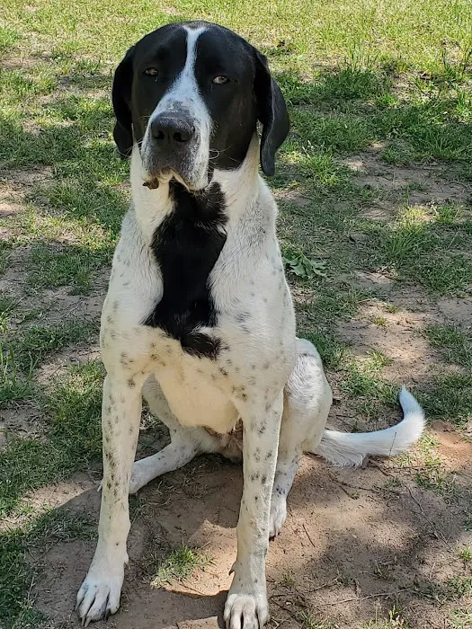 Tecumseh Veterinary Clinic Picture 2