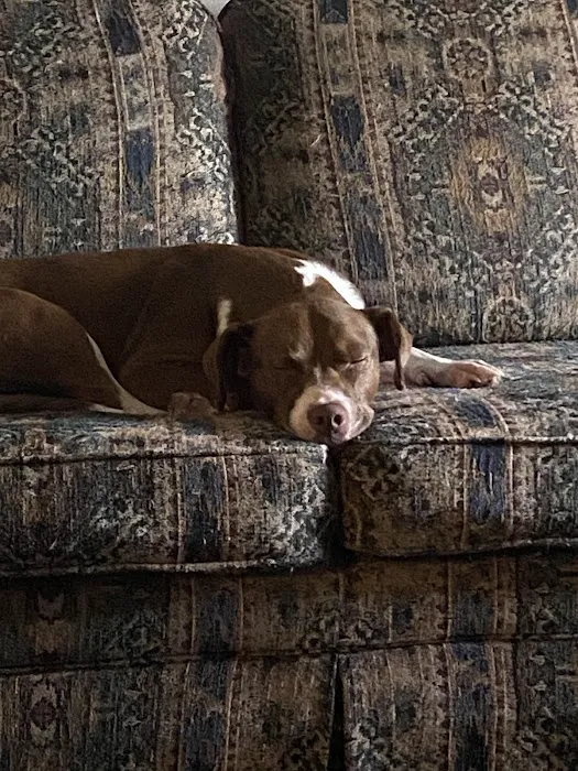 Tecumseh Veterinary Clinic Picture 5