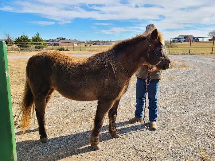 Tecumseh Veterinary Clinic Picture 8