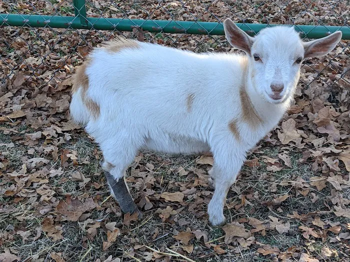 Tecumseh Veterinary Clinic Picture 9