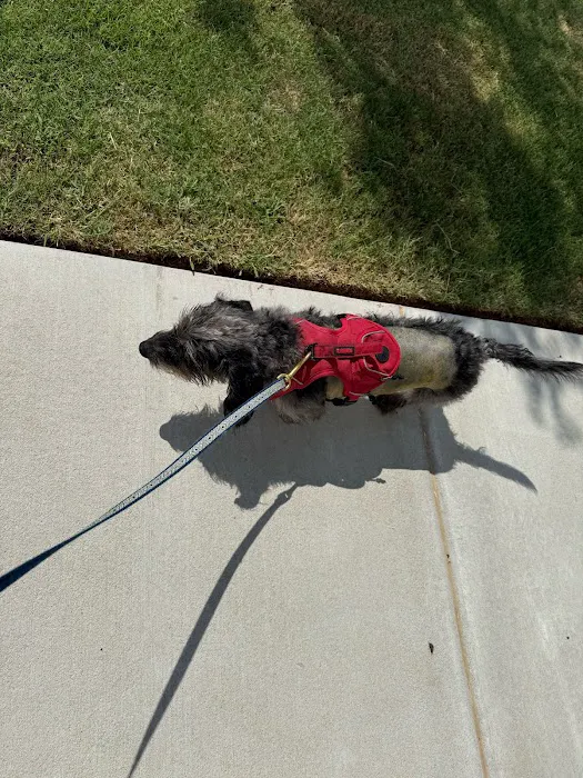 Veterinary Specialty Center of Stillwater Picture 3