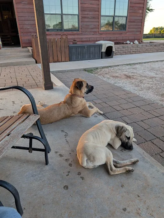 Veterinary Specialty Center of Stillwater Picture 1