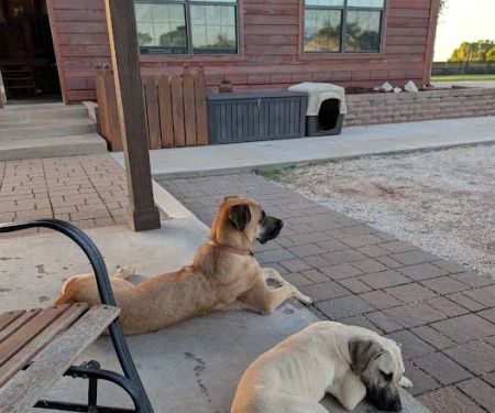 Veterinary Specialty Center of Stillwater