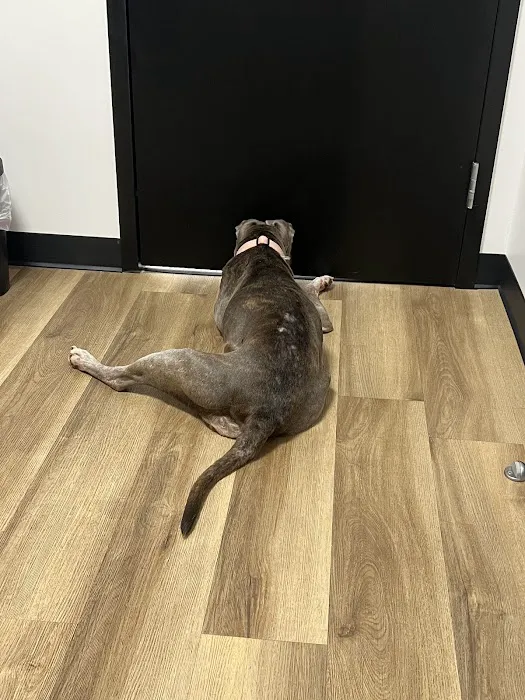 Veterinary Specialty Center of Stillwater Picture 6