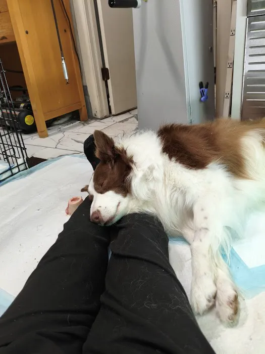 Veterinary Specialty Center of Stillwater Picture 9