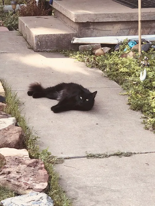 Veterinary House Call Services: Amy Carter Storm DVM Picture 1