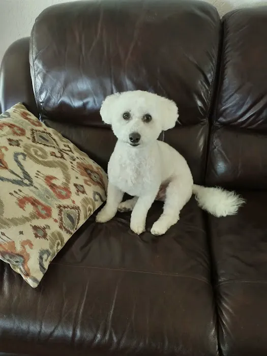 Veterinary House Call Services: Amy Carter Storm DVM Picture 2