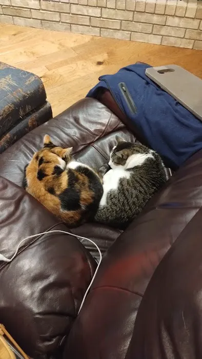 Veterinary House Call Services: Amy Carter Storm DVM Picture 4