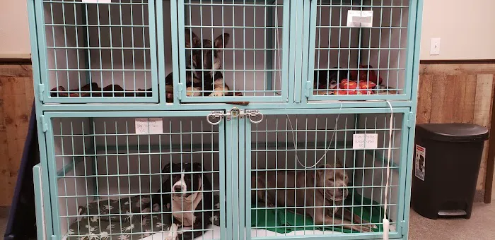 Morphis Veterinary Services Inc. Picture 1