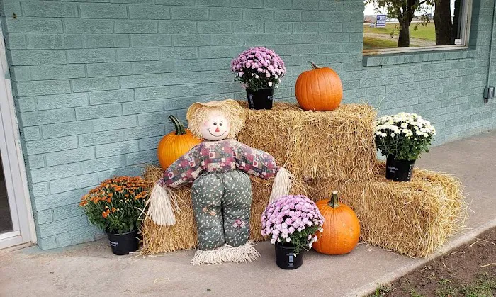 Morphis Veterinary Services Inc. Picture 10