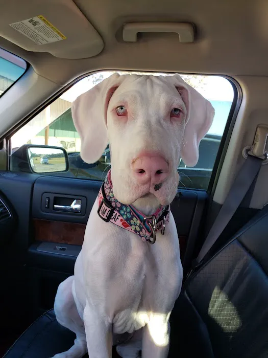 Wewoka Animal Hospital Picture 1