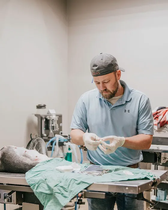 Wewoka Animal Hospital Picture 2