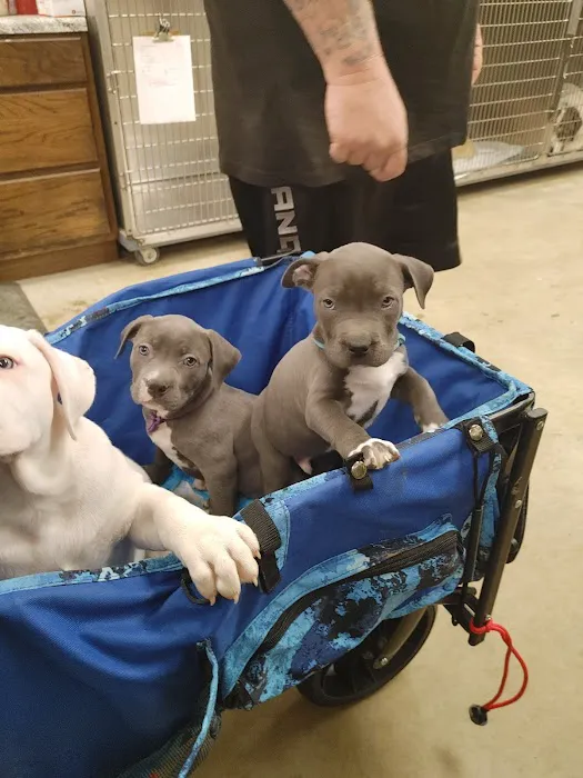 Wewoka Animal Hospital Picture 5