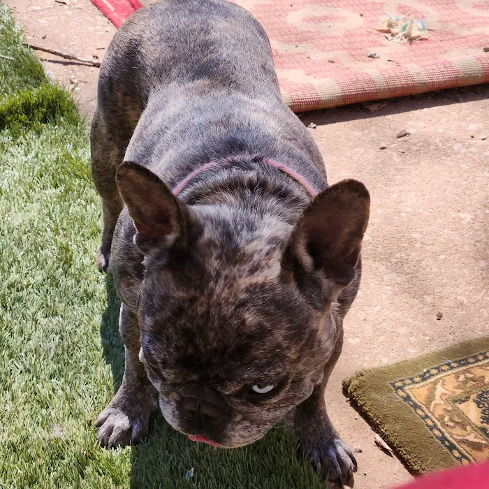 Wewoka Animal Hospital Picture 4