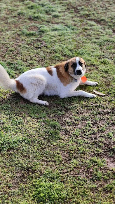 Holdenville Veterinary Clinic Picture 2