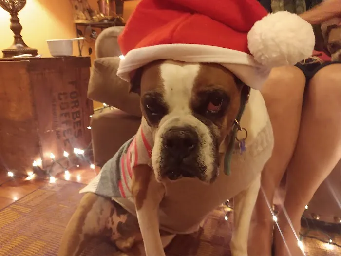 Holdenville Veterinary Clinic Picture 1