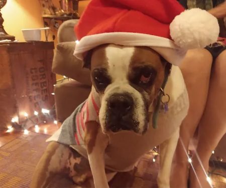 Holdenville Veterinary Clinic