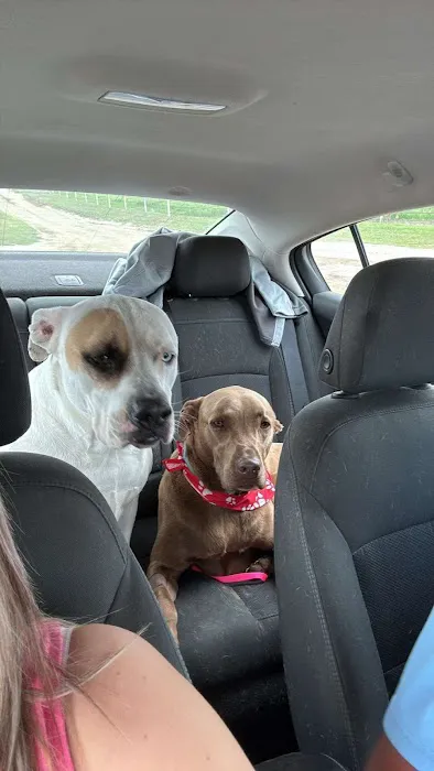 Holdenville Veterinary Clinic Picture 3