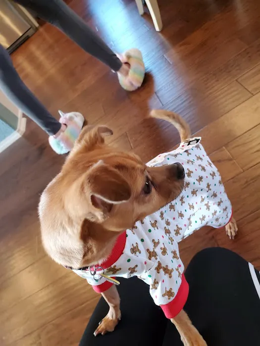 Holdenville Veterinary Clinic Picture 4