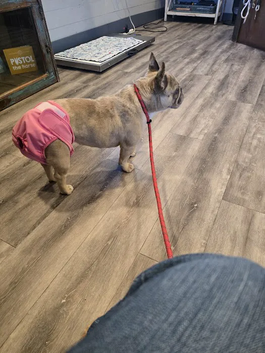 Holdenville Veterinary Clinic Picture 5