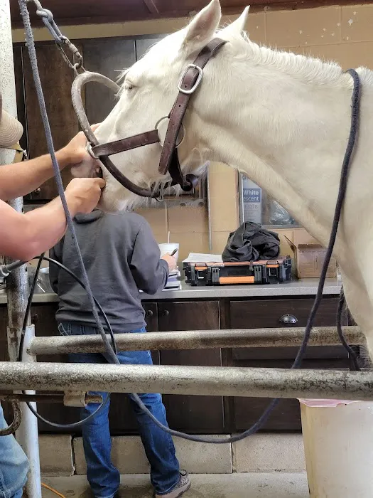 Holdenville Veterinary Clinic Picture 6