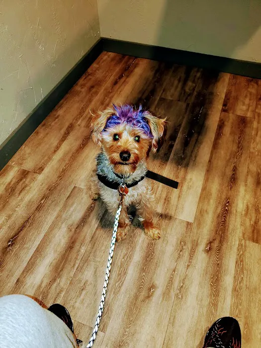 Holdenville Veterinary Clinic Picture 7