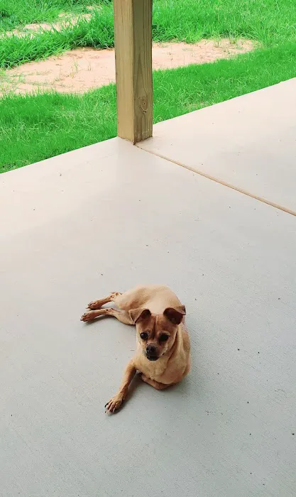 Holdenville Veterinary Clinic Picture 9