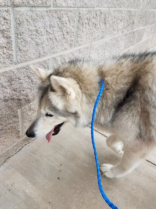 Thunderbird Veterinary Hospital Picture 1