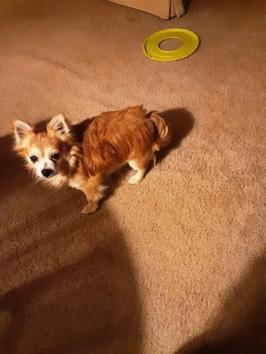 Thunderbird Veterinary Hospital Picture 3