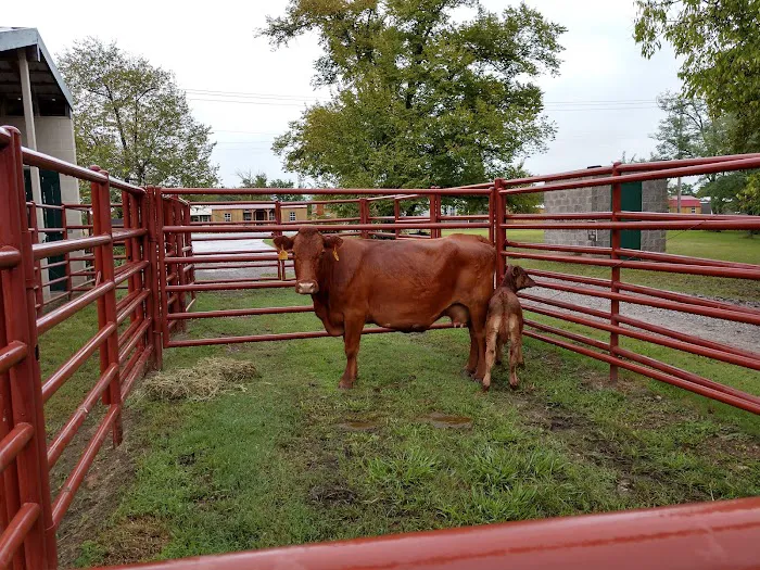 Thunderbird Veterinary Hospital Picture 9