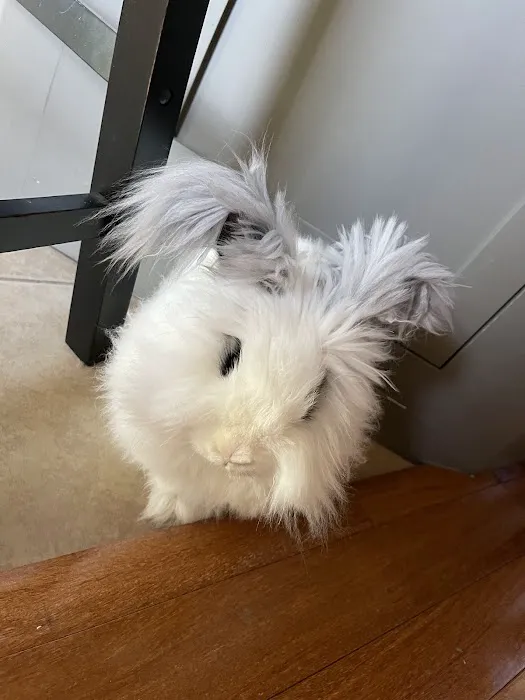 Thunderbird Veterinary Hospital Picture 8