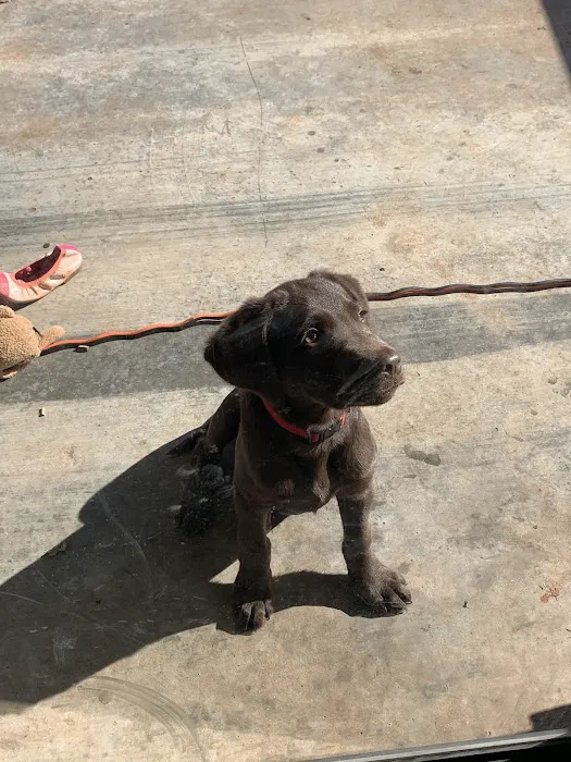 Thunderbird Veterinary Hospital Picture 10